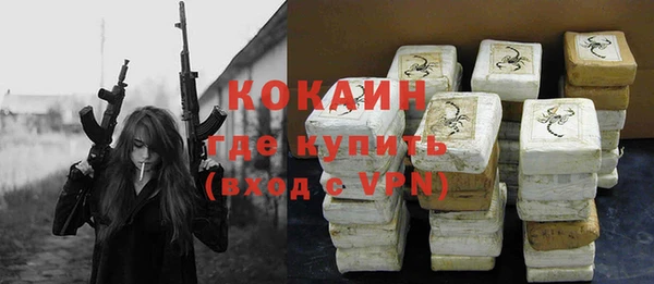 индика Бугульма