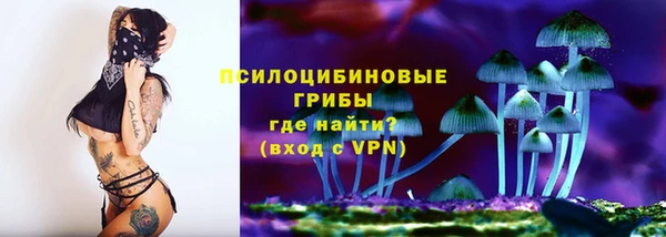 индика Бугульма