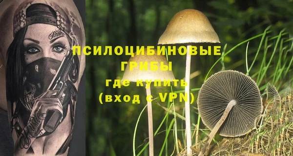 МДМА Бородино