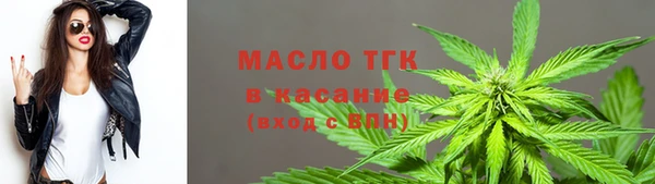 индика Бугульма