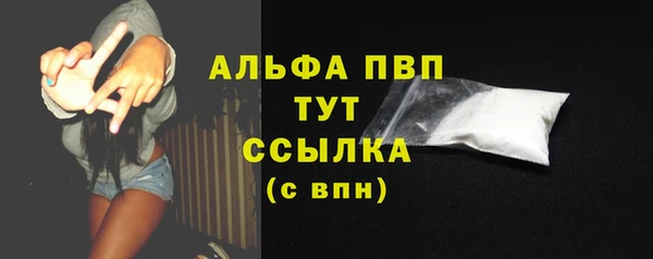 индика Бугульма