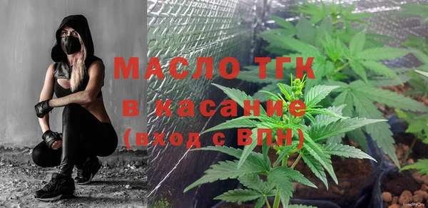 индика Бугульма
