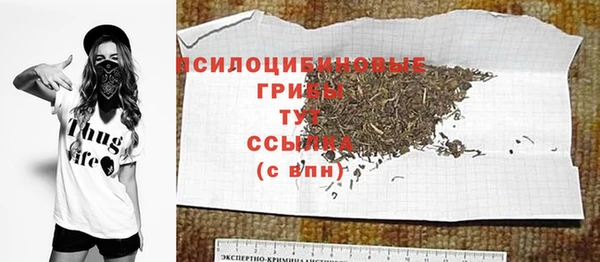 индика Бугульма