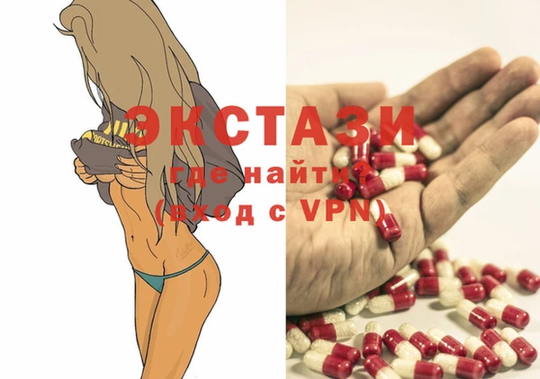 индика Бугульма