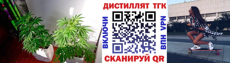 ТГК Wax  купить  сайты  Подольск 