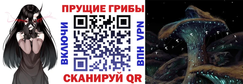 Псилоцибиновые грибы Psilocybe Подольск